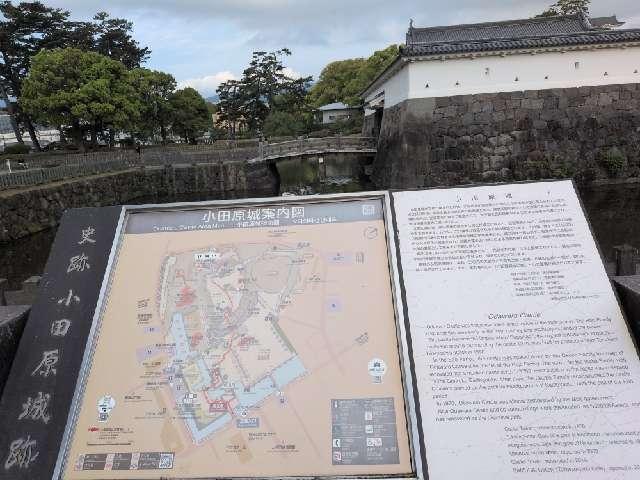 神奈川県小田原市城内６ 小田原城の写真3