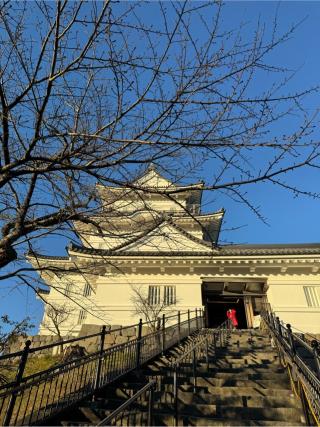 小田原城の登城記録(無極さん)