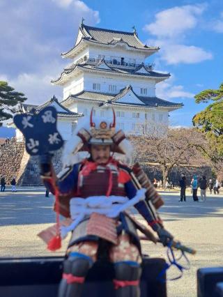 小田原城の登城記録(影武者さん)