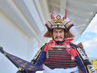 小田原城の登城記録(影武者さん)