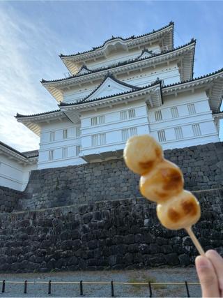 小田原城の登城記録(とも殿さん)