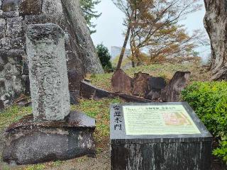 小田原城の登城記録(ミヤリンさん)