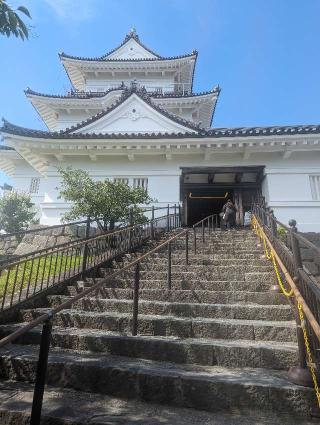 小田原城の登城記録(典つぼねさん)