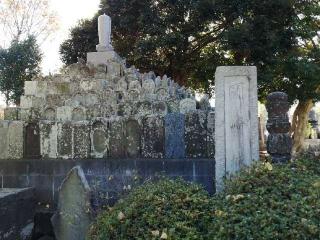 岡崎城の登城記録(けいいちさん)