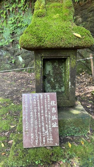 住吉城の登城記録(みねさん)