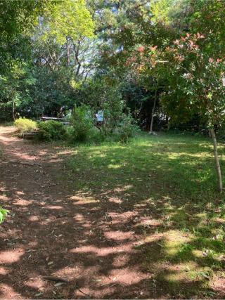 玉縄城（甘縄城）の登城記録(監督さん)