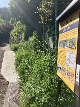 玉縄城（甘縄城）の登城記録(監督さん)