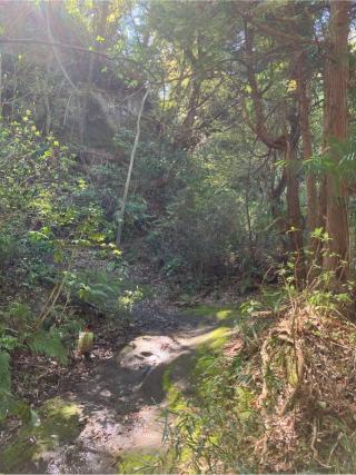 鎌倉城の登城記録(監督さん)