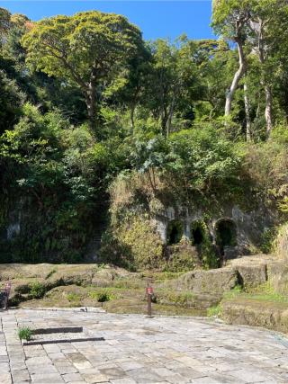 鎌倉城の登城記録(監督さん)