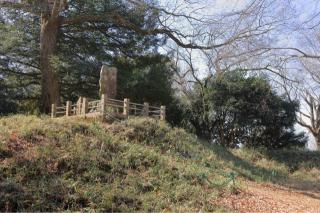 津久井城（筑井城、築井城、根小屋城）の登城記録(こにーさん)