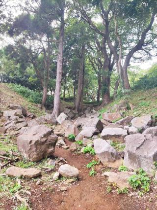 石垣山城（石垣山一夜城）の登城記録(マリリさん)