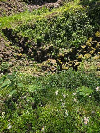 石垣山城（石垣山一夜城）の登城記録(jinさん)