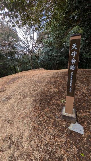 石垣山城（石垣山一夜城）の登城記録(ニャン川さん)