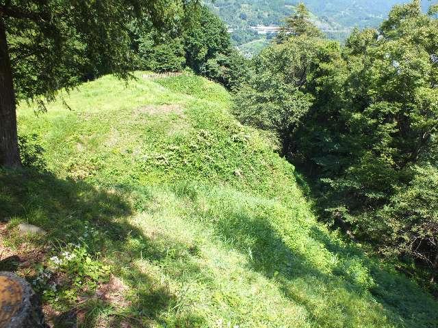 神奈川県足柄上郡山北町山北 河村城（戸張城・猫山城）の写真5