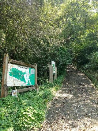 河村城（戸張城・猫山城）の登城記録(マコモさん)
