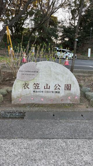 衣笠城の登城記録(みねさん)