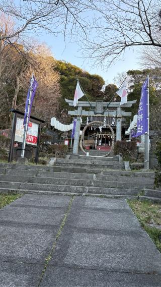 衣笠城の登城記録(みねさん)