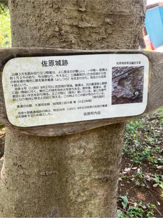 佐原城の登城記録(監督さん)