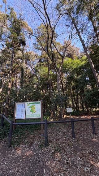 深見城（一ノ関城山、一の関城山）の登城記録(みねさん)