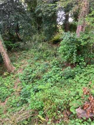 寺尾城〈横浜市〉の登城記録(監督さん)