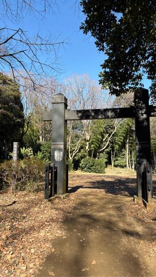 小机城（飯田城、根古屋城）の登城記録(みねさん)