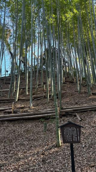 小机城（飯田城、根古屋城）の登城記録(みねさん)