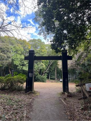 小机城（飯田城、根古屋城）の登城記録(7372さん)