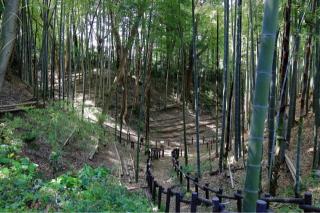 小机城（飯田城、根古屋城）の登城記録(こにーさん)