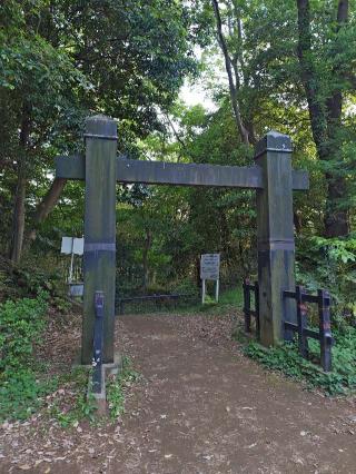 小机城（飯田城、根古屋城）の登城記録(yossyさん)