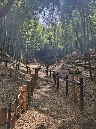 小机城（飯田城、根古屋城）の登城記録(ラフェスタさん)