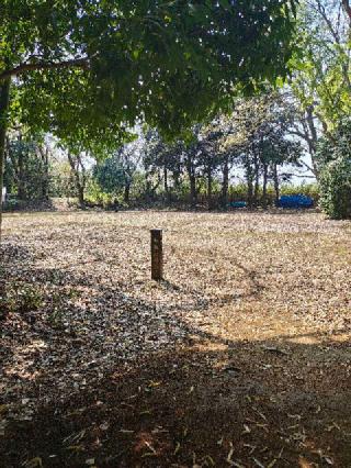 小机城（飯田城、根古屋城）の登城記録(ラフェスタさん)