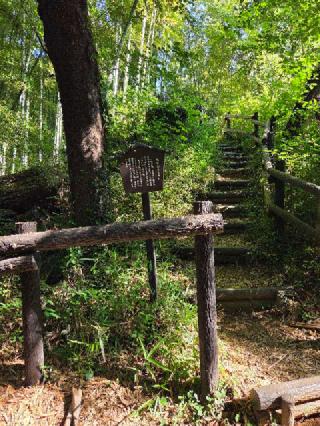 小机城（飯田城、根古屋城）の登城記録(jinさん)