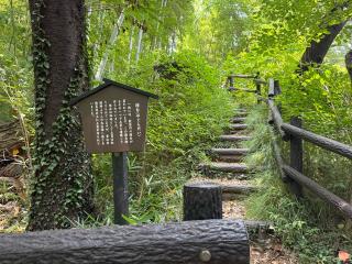 小机城（飯田城、根古屋城）の登城記録(mkjさん)