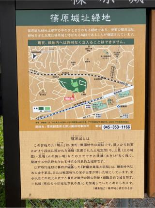 篠原城（金子城、金子出雲守塁）の登城記録(監督さん)