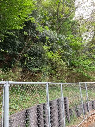 篠原城（金子城、金子出雲守塁）の登城記録(監督さん)