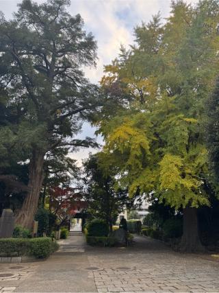 榎下城（久保城）の登城記録(無極さん)