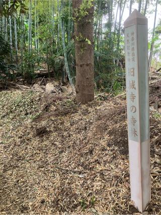 榎下城（久保城）の登城記録(監督さん)