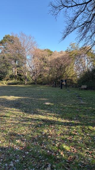 茅ヶ崎城の登城記録(みねさん)