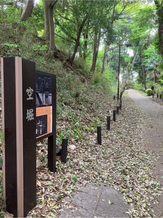 茅ヶ崎城の登城記録(監督さん)