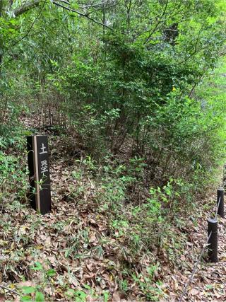 茅ヶ崎城の登城記録(監督さん)