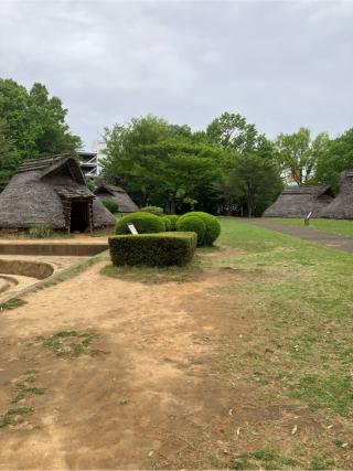 大塚・歳勝土遺跡（大塚遺跡）の登城記録(監督さん)