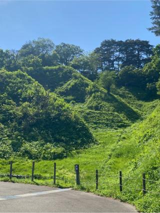 春日山城の登城記録(ひろさん)