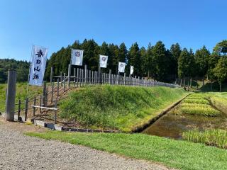 春日山城の登城記録(花宵さん)