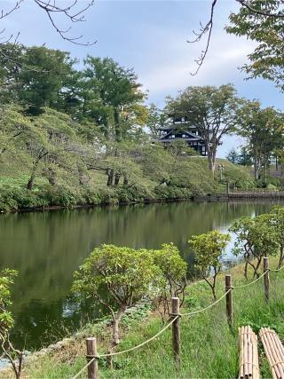 高田城の登城記録(監督さん)