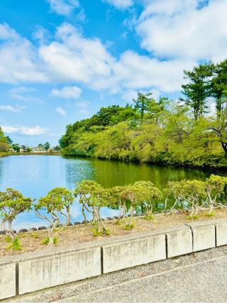 高田城の登城記録(菜の穂　さん)