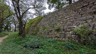 村上城の登城記録(ニャン川さん)