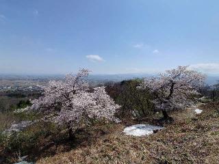 鮫ヶ尾城の登城記録(トベシュンさん)