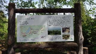 鮫ヶ尾城の登城記録(オカドンさん)