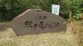 鮫ヶ尾城の登城記録(オカドンさん)