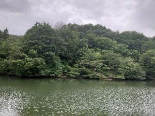 鮫ヶ尾城の登城記録(syuさん)